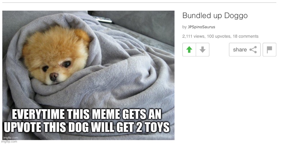 Wow 200 toys that a good boi | image tagged in doggo | made w/ Imgflip meme maker