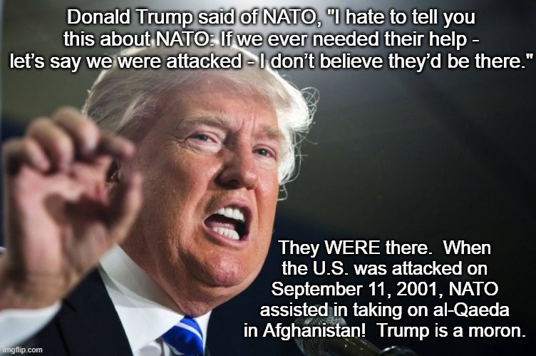 Donald Trump NATO 9/11 | Donald Trump said of NATO, "I hate to tell you this about NATO: If we ever needed their help - let’s say we were attacked - I don’t believe they’d be there."; They WERE there.  When the U.S. was attacked on September 11, 2001, NATO assisted in taking on al-Qaeda in Afghanistan!  Trump is a moron. | image tagged in donald trump,nato,september 11 2001,9/11 | made w/ Imgflip meme maker