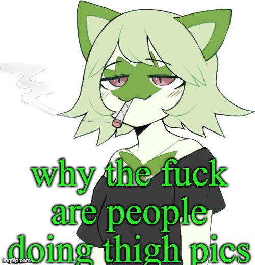 good thing mine was forgotten and lost to time | why the fuck are people doing thigh pics | image tagged in weed cat | made w/ Imgflip meme maker