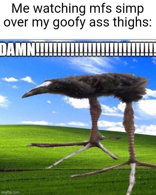 DAMN!!!!!!!!!!!!!!!!!!!!!!!!!!!! | Me watching mfs simp over my goofy ass thighs: | image tagged in damn | made w/ Imgflip meme maker