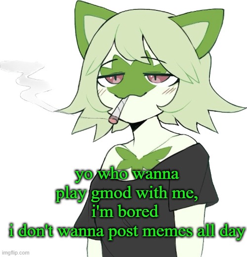 weed cat | yo who wanna play gmod with me, i'm bored 
i don't wanna post memes all day | image tagged in weed cat | made w/ Imgflip meme maker