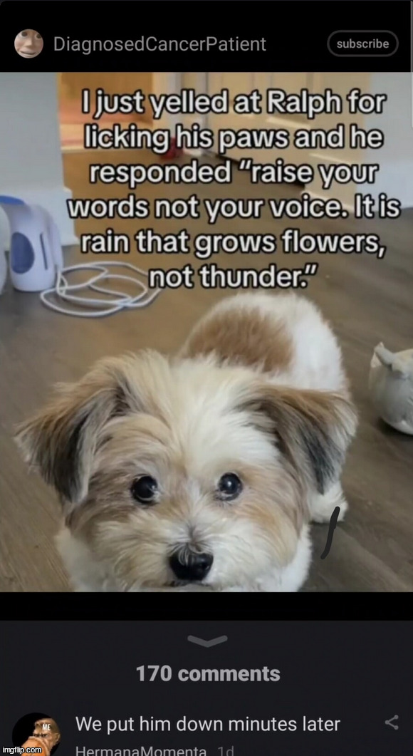 It is rain that grows flowers, not thunder. | made w/ Imgflip meme maker