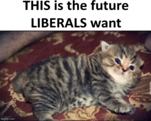 if that's the case, i'm a liberal | made w/ Imgflip meme maker