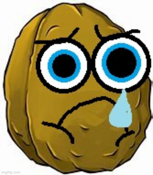 Sad Wall-nut | image tagged in sad wall-nut | made w/ Imgflip meme maker