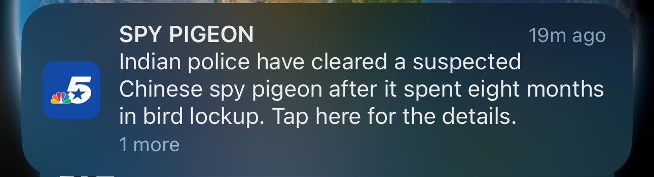 Spy Pidgeom Blank Meme Template