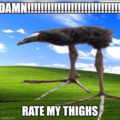 Are they the best or nah (please say nah) | RATE MY THIGHS | image tagged in damn | made w/ Imgflip meme maker