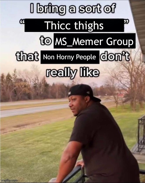 I Bring a Sort of X to Y that Z Don't Really Like | Thicc thighs; MS_Memer Group; Non Horny People | image tagged in i bring a sort of x to y that z don't really like | made w/ Imgflip meme maker