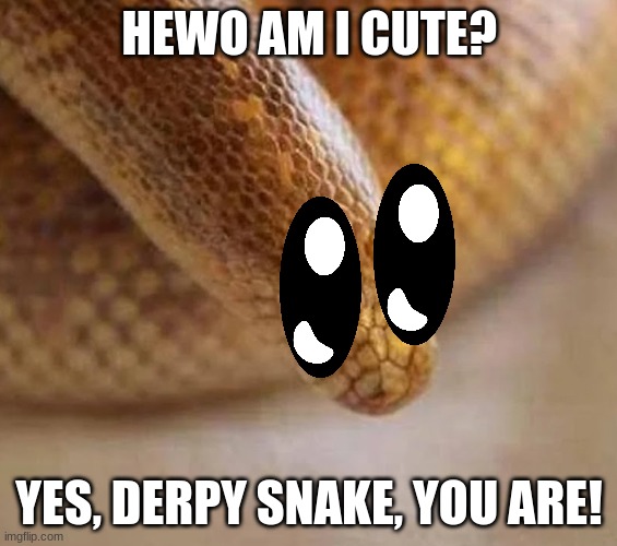 Arabian sand boa | HEWO AM I CUTE? YES, DERPY SNAKE, YOU ARE! | image tagged in arabian sand boa | made w/ Imgflip meme maker