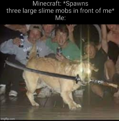 Right in the middle of my rail system | Minecraft: *Spawns three large slime mobs in front of me*
Me: | image tagged in dog with sword | made w/ Imgflip meme maker
