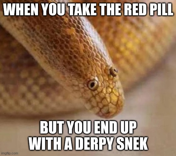 Arabian sand boa | WHEN YOU TAKE THE RED PILL; BUT YOU END UP WITH A DERPY SNEK | image tagged in arabian sand boa | made w/ Imgflip meme maker