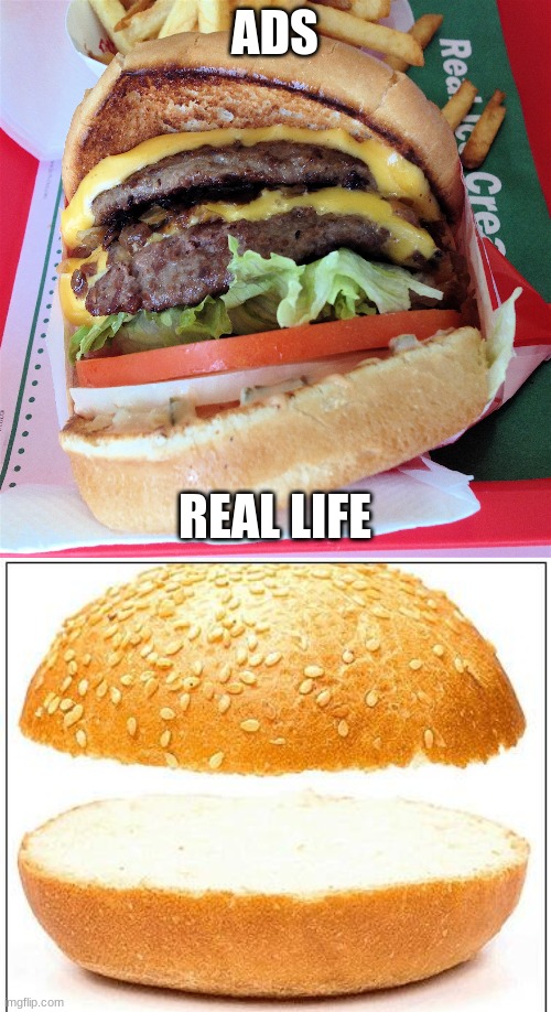 ADS; REAL LIFE | image tagged in in n out,nothing burger | made w/ Imgflip meme maker