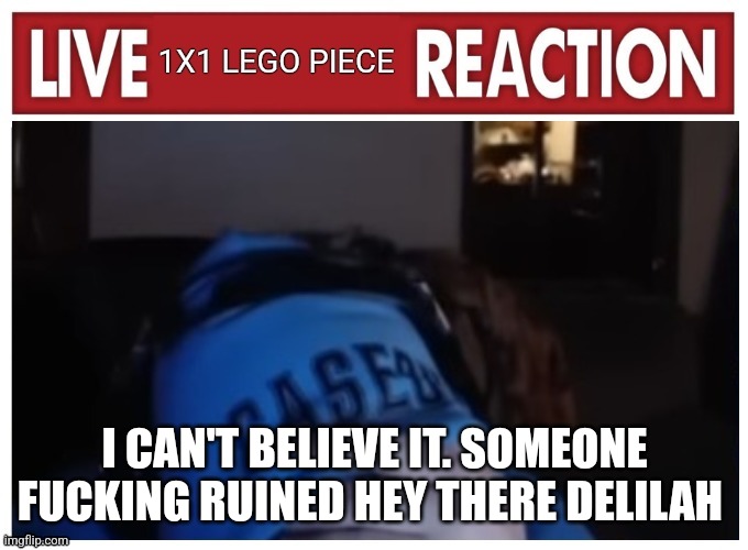 Live 1x1 LEGO piece Reaction | I CAN'T BELIEVE IT. SOMEONE FUCKING RUINED HEY THERE DELILAH | image tagged in live 1x1 lego piece reaction | made w/ Imgflip meme maker