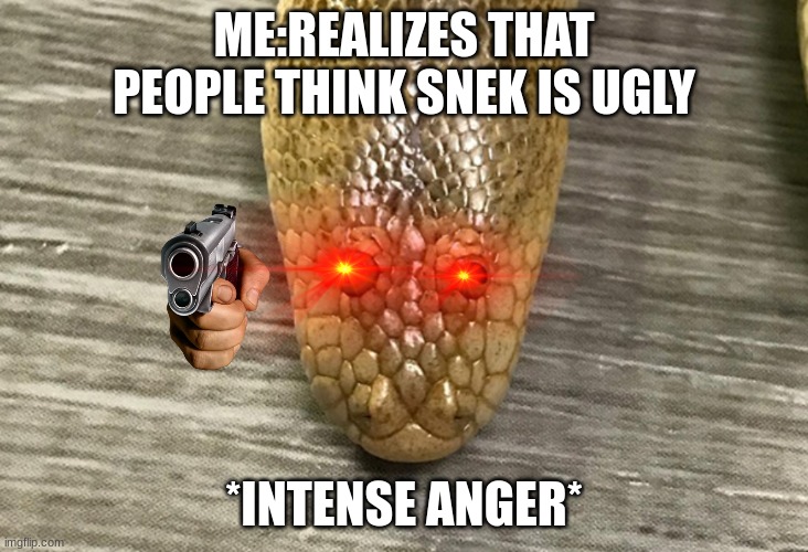 Arabian Sand Boa | ME:REALIZES THAT PEOPLE THINK SNEK IS UGLY; *INTENSE ANGER* | image tagged in arabian sand boa | made w/ Imgflip meme maker
