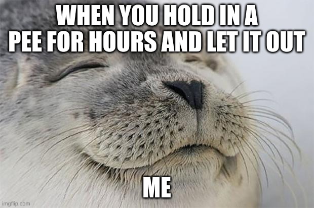 PEEEEE | WHEN YOU HOLD IN A PEE FOR HOURS AND LET IT OUT; ME | image tagged in memes,satisfied seal | made w/ Imgflip meme maker