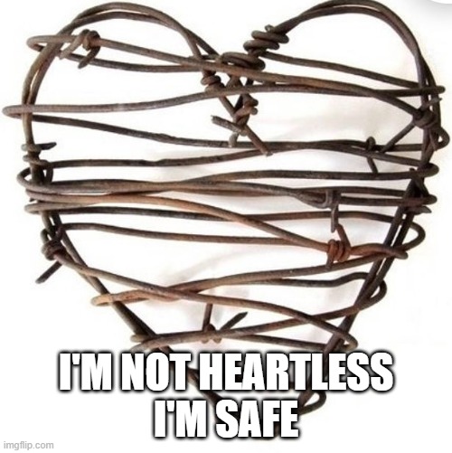 I found a new home! | I'M NOT HEARTLESS
I'M SAFE | image tagged in emotional damage,triggered,triggered liberal,steve bannon,cancelled,cancel culture | made w/ Imgflip meme maker