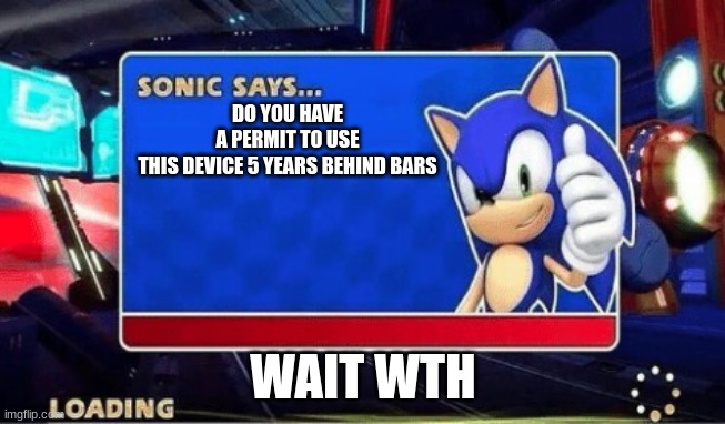 5 years in jail | DO YOU HAVE A PERMIT TO USE THIS DEVICE 5 YEARS BEHIND BARS; WAIT WTH | image tagged in sonic the hedgehog | made w/ Imgflip meme maker
