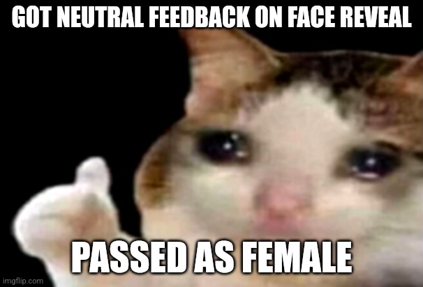 Yahoo | GOT NEUTRAL FEEDBACK ON FACE REVEAL; PASSED AS FEMALE | image tagged in sad cat thumbs up | made w/ Imgflip meme maker