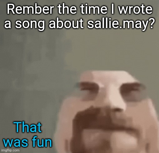 heisenburger | Rember the time I wrote a song about sallie.may? That was fun | image tagged in heisenburger | made w/ Imgflip meme maker