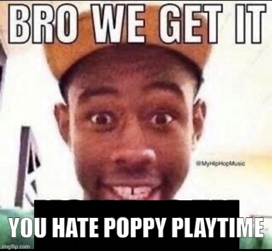 BRO WE GET IT YOU'RE GAY | YOU HATE POPPY PLAYTIME | image tagged in bro we get it you're gay | made w/ Imgflip meme maker