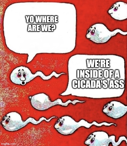 Gjyg lore | YO WHERE ARE WE? WE'RE INSIDE OF A CICADA'S ASS | image tagged in sperm talk | made w/ Imgflip meme maker