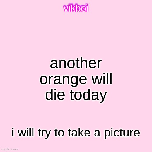 vikboi temp simple | another orange will die today; i will try to take a picture | image tagged in vikboi temp modern | made w/ Imgflip meme maker