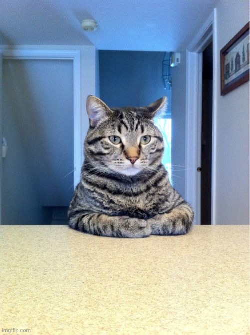 Take A Seat Cat Meme | image tagged in memes,take a seat cat | made w/ Imgflip meme maker