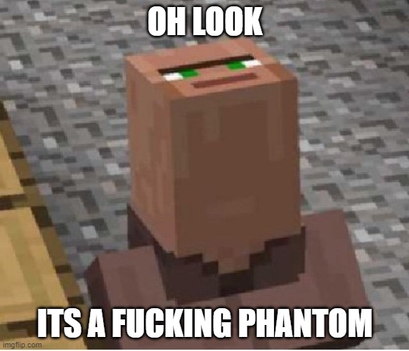 I hate Phantom | OH LOOK; ITS A FUCKING PHANTOM | image tagged in villager looking up,minecraft,minecraft memes | made w/ Imgflip meme maker