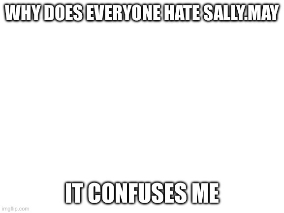Blank White Template | WHY DOES EVERYONE HATE SALLY.MAY; IT CONFUSES ME | image tagged in blank white template | made w/ Imgflip meme maker