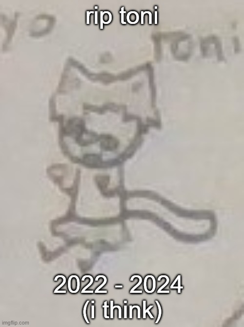 now she will only be known in my art book as the one who simps for mayo | rip toni; 2022 - 2024 
(i think) | made w/ Imgflip meme maker