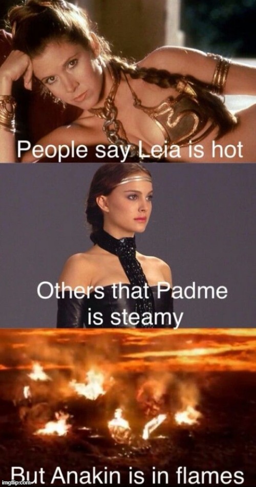Flaming | image tagged in star wars,leia,padme,anakin | made w/ Imgflip meme maker