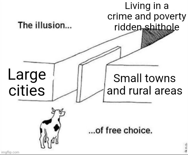 In America, whether you're in a large city or small town, you still live in a shitty area | Living in a crime and poverty ridden shithole; Large cities; Small towns and rural areas | image tagged in illusion of free choice,cities,small towns,crime,poverty,america | made w/ Imgflip meme maker