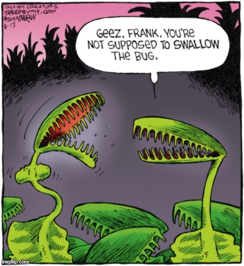 A Plant that Eats What Bugs Them | image tagged in vince vance,venus flytrap,carnivores,cartoon,comics,memes | made w/ Imgflip meme maker