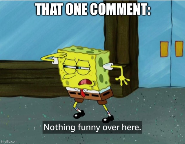 Nothing Funny Over Here | THAT ONE COMMENT: | image tagged in nothing funny over here | made w/ Imgflip meme maker