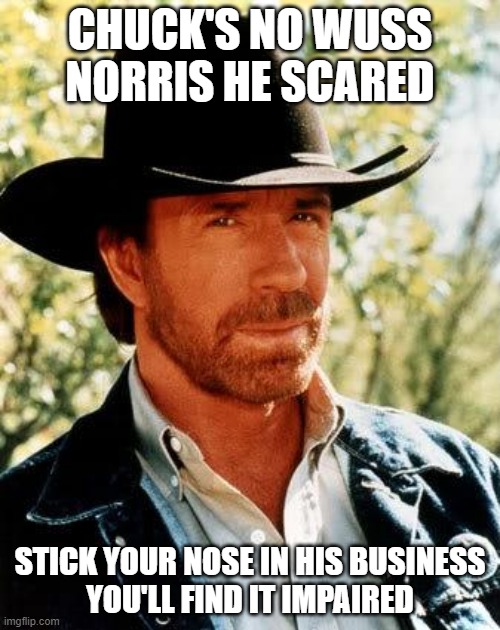 Chuck Norris | CHUCK'S NO WUSS
NORRIS HE SCARED; STICK YOUR NOSE IN HIS BUSINESS
YOU'LL FIND IT IMPAIRED | image tagged in memes,chuck norris | made w/ Imgflip meme maker