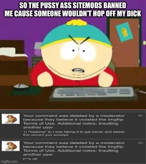 Banned me from commenting | SO THE PUSSY ASS SITEMODS BANNED ME CAUSE SOMEONE WOULDN’T HOP OFF MY DICK | image tagged in cartman | made w/ Imgflip meme maker