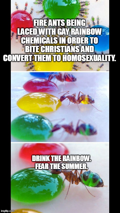 Gay Rainbow Ants | FIRE ANTS BEING LACED WITH GAY RAINBOW CHEMICALS IN ORDER TO BITE CHRISTIANS AND CONVERT THEM TO HOMOSEXUALITY. DRINK THE RAINBOW.
FEAR THE SUMMER. | image tagged in ants,christians,gay,homosexuality,rainbows | made w/ Imgflip meme maker