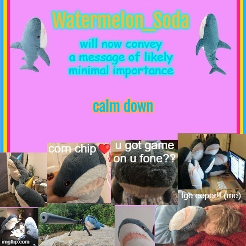 soda's gayass blahaj temp | calm down | image tagged in soda's gayass blahaj temp | made w/ Imgflip meme maker