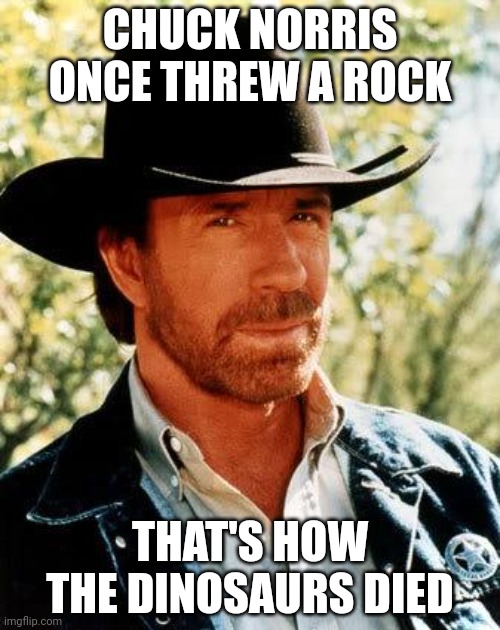 The real way the dinosaurs died | CHUCK NORRIS ONCE THREW A ROCK; THAT'S HOW THE DINOSAURS DIED | image tagged in memes,chuck norris,dinosaur | made w/ Imgflip meme maker