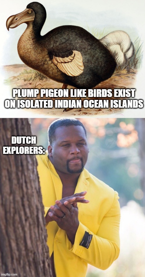 The Way of the Dodo | DUTCH EXPLORERS:; PLUMP PIGEON LIKE BIRDS EXIST ON ISOLATED INDIAN OCEAN ISLANDS | image tagged in dodo bird,black guy hiding behind tree | made w/ Imgflip meme maker