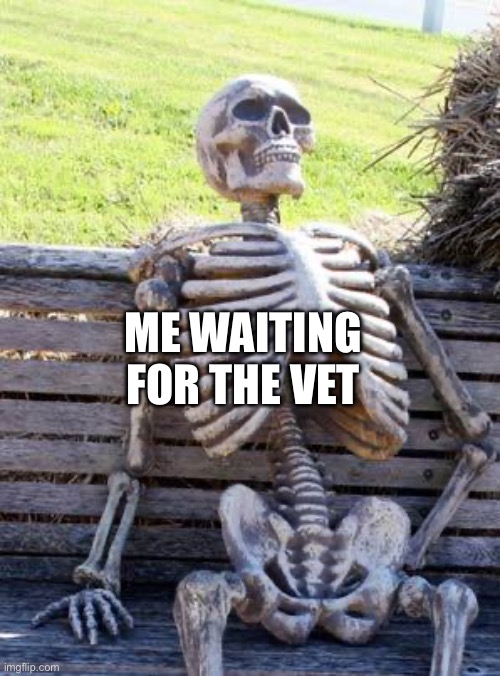 Waiting Skeleton Meme | ME WAITING FOR THE VET | image tagged in memes,waiting skeleton | made w/ Imgflip meme maker