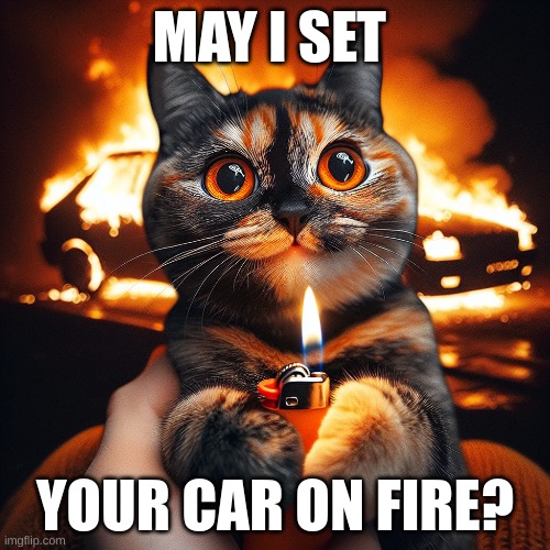 Yes you may | MAY I SET; YOUR CAR ON FIRE? | image tagged in cat,fire | made w/ Imgflip meme maker