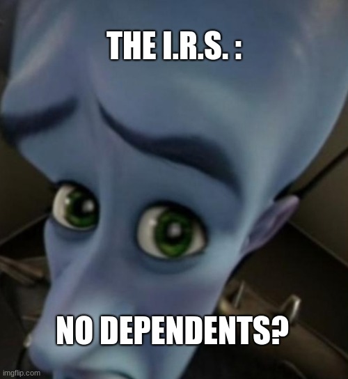 You got none, dink. | THE I.R.S. :; NO DEPENDENTS? | image tagged in megamind no bitches,taxes,income taxes | made w/ Imgflip meme maker