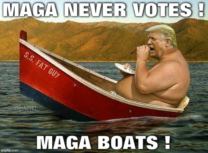 image tagged in florida,vote,maga morons,clown car republicans,elections,boat | made w/ Imgflip meme maker