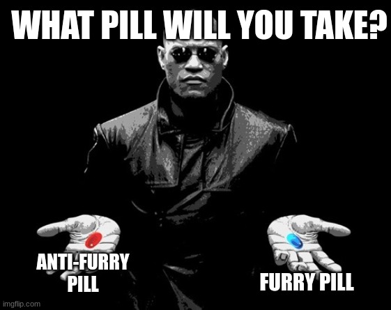 Witch pill? | WHAT PILL WILL YOU TAKE? ANTI-FURRY PILL; FURRY PILL | made w/ Imgflip meme maker