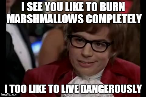I Too Like To Live Dangerously | I SEE YOU LIKE TO BURN MARSHMALLOWS COMPLETELY I TOO LIKE TO LIVE DANGEROUSLY | image tagged in memes,i too like to live dangerously | made w/ Imgflip meme maker