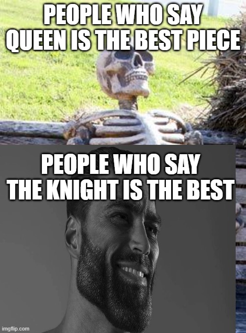 the best piece | PEOPLE WHO SAY QUEEN IS THE BEST PIECE; PEOPLE WHO SAY THE KNIGHT IS THE BEST | image tagged in memes,waiting skeleton | made w/ Imgflip meme maker
