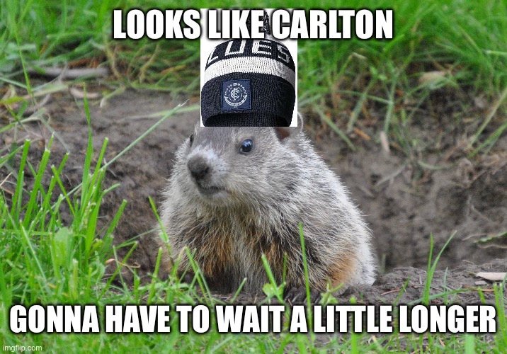Groundhog Day | LOOKS LIKE CARLTON; GONNA HAVE TO WAIT A LITTLE LONGER | image tagged in groundhog,groundhog day | made w/ Imgflip meme maker