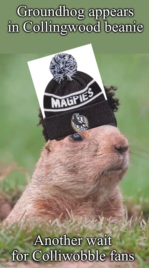 Colliwobbles | Groundhog appears in Collingwood beanie; Another wait for Colliwobble fans | image tagged in collingwood,football,wait,groundhog day | made w/ Imgflip meme maker