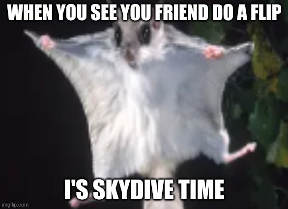 skydive | WHEN YOU SEE YOU FRIEND DO A FLIP; I'S SKYDIVE TIME | image tagged in so true memes | made w/ Imgflip meme maker