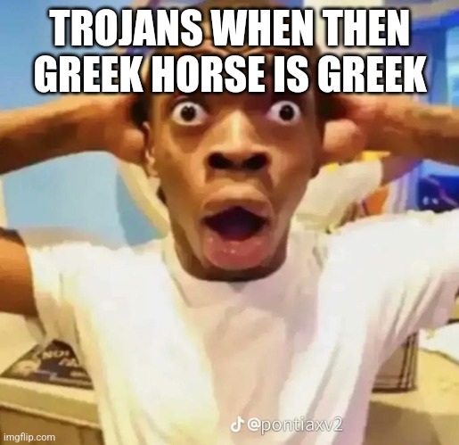 Trojan horse | TROJANS WHEN THEN GREEK HORSE IS GREEK | image tagged in shocked black guy | made w/ Imgflip meme maker